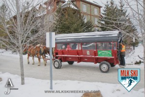 MLK Ski Weekend 2016 horse drawn carriage